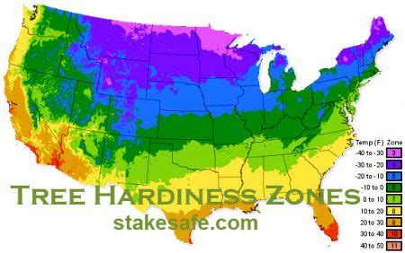 Tree Hardiness Zones - Stakesafe