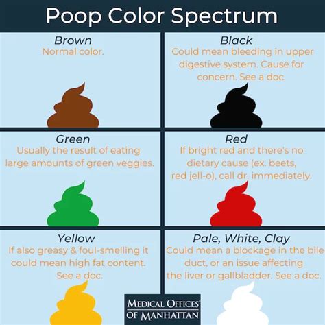 What Does Your Poop Say About Your Health?