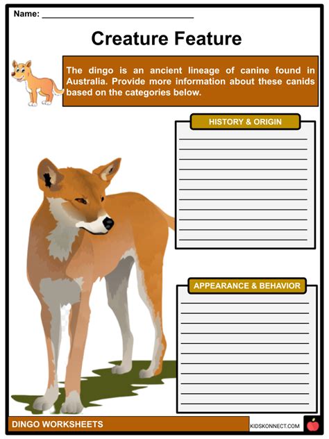 Dingo Facts & Worksheets | KidsKonnect