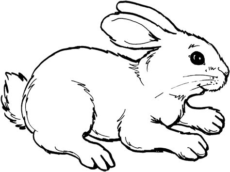 Free Clipart Rabbit Black And White, Download Free Clipart Rabbit Black ...