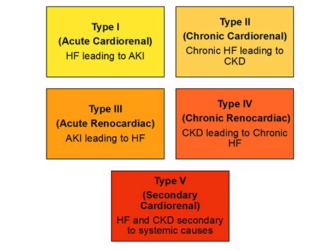 Cureus | Emerging Treatments of Cardiorenal Syndrome: An Update on ...