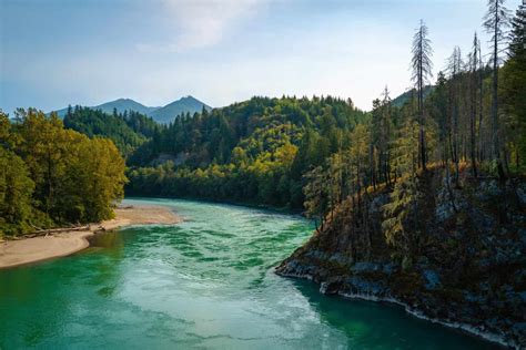 What's in the Skagit River and is it Safe to Swim in? - A-Z Animals