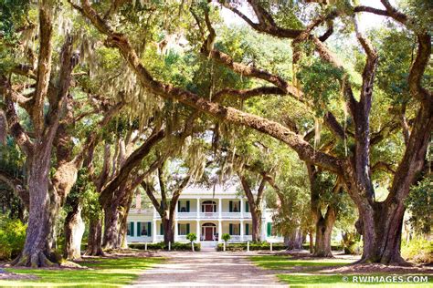 Framed Photo Print Picture of ROSEDOWN PLANTATION AND GARDENS ST. FRANCISVILLE LOUISIANA COLOR ...