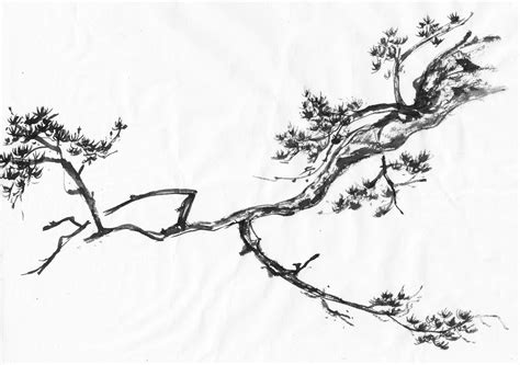 Tree Branch Drawing at GetDrawings | Free download