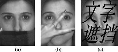 Samples of face images with occlusion | Download Scientific Diagram