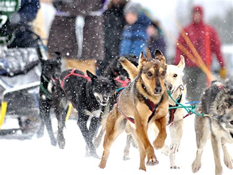 Unexpected Winter Activities | WI Things to Do | Travel Wisconsin