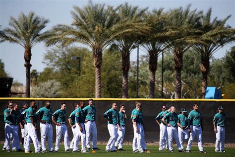 2017 Spring Training - Mariners | Seattle mariners, Mariners, Spring ...