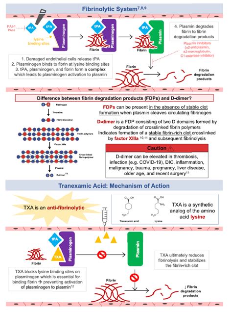 Tranexamic Acid Mechanism of Action - LeroyewaDouglas