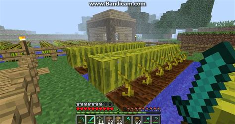 Minecraft: Melon Farm - YouTube