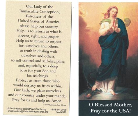 Prayer to Our Lady of the Immaculate Conception for the United States ...