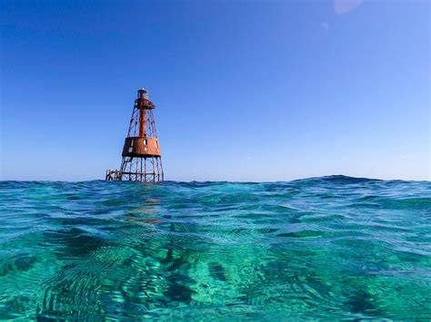 The Best Snorkeling in the Florida Keys | Scho & Jo