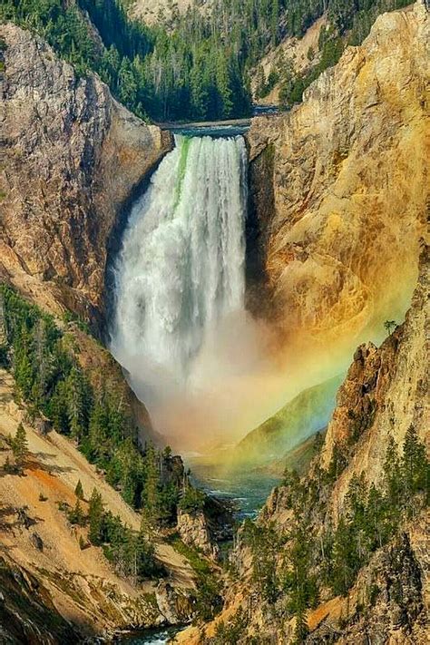 Lower Yellowstone Falls, Grand Canyon of the Yellowstone, Yellowstone ...