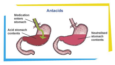 Biology and Chemistry of Stomach Acid: How Antacid Works, What Chemical ...