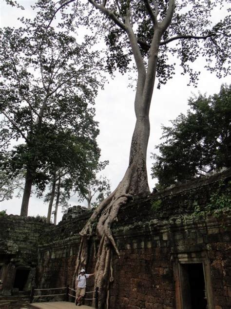 Ta Prohm (Tomb Raider) Temple : Angkor | Visions of Travel