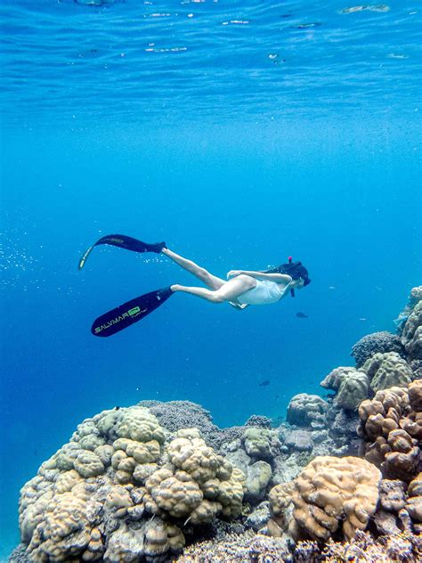 Unique Snorkeling Adventures | Baglioni Resort Maldives