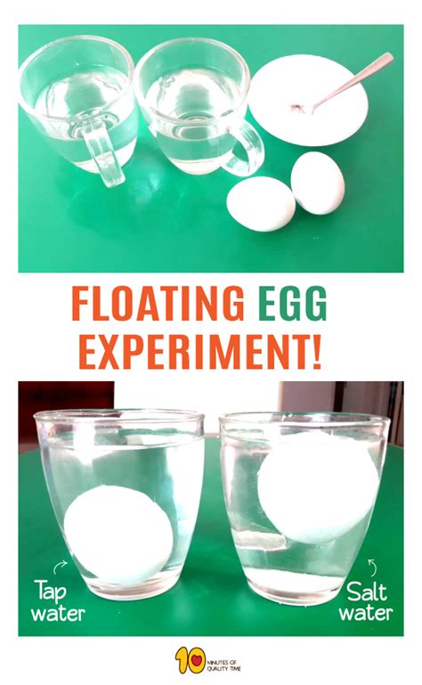 Floating Egg Science Experiment for Kids - 10 Minutes of Quality Time