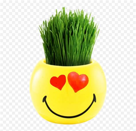 Smileys Ryegrass - Plant With Smiley Face Emoji,Plant Emoticon - free transparent emoji ...