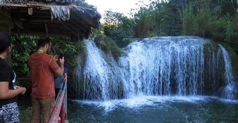 Panglao, Dao, Forests, and Tarsier Sanctuary Tour with Lunch - SuiteTrails