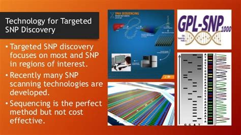 SNP Detection Methods and applications