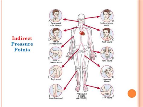 PPT - Bleeding PowerPoint Presentation, free download - ID:8885255