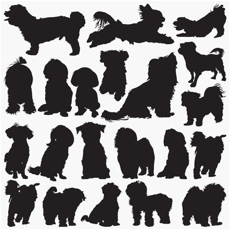 Premium Vector | Maltese dog silhouettes