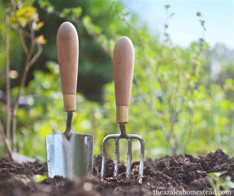 Ten Skills You Need to be a Homesteader, No Matter Your Circumstance