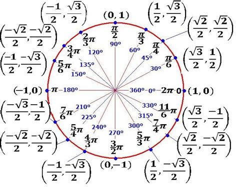 Diccionario Matematicas: Círculo Unitario y Razones Trigonométricas ...