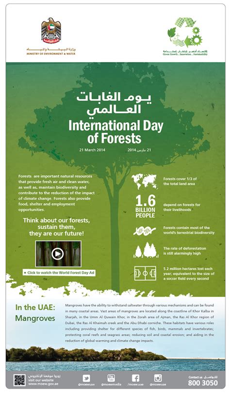 International Day of Forests on Behance