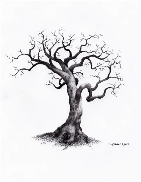 Pencil Drawing Design | Bäume zeichnen, Baum zeichnung, Natur zeichnen