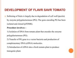 Flavr savr tomato.ppt