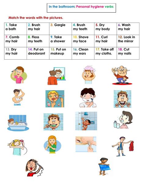 Personal Hygiene Verbs Worksheet