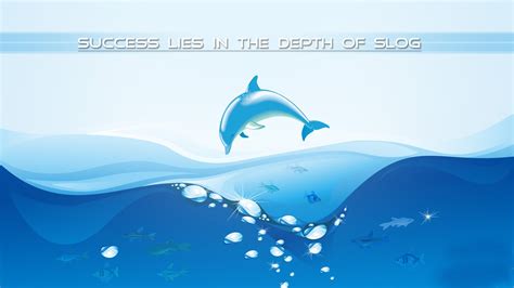 Cartoon Dolphin Wallpapers - Top Free Cartoon Dolphin Backgrounds ...