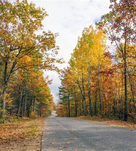 Fall Country Road stock photo. Image of foliage, fall - 45829890