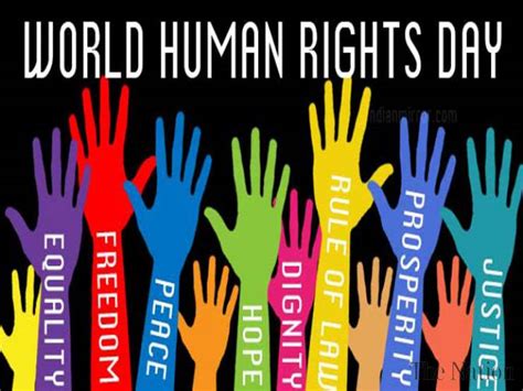 Human Rights Day Statement | IFMSA