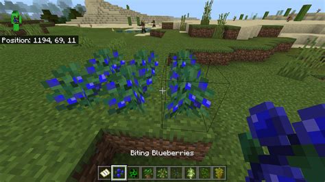 Sweet Berries > Biting Blueberries – Minecraft Feedback