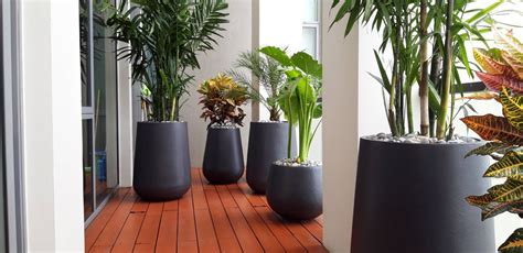 Garden Plant Pots in Bangkok - Order Online Today - Thai Garden Design