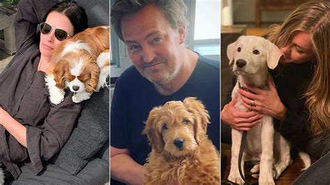 Furry Friends! Jennifer Aniston, Matthew Perry & more's cutest dog ...