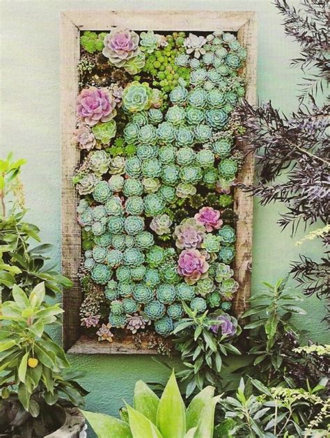 70 Indoor And Outdoor Succulent Garden Ideas - Shelterness