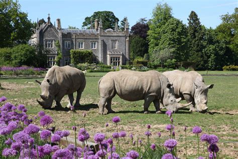 Cotswold Wildlife Park | Cheltenham