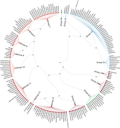 UNC Researchers Lead International Consortium to Improve Understanding ...