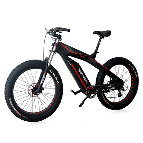 Carbon Fiber Electric Bike