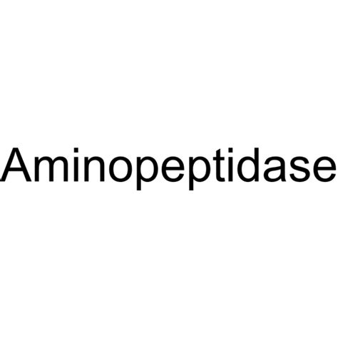 Aminopeptidase | Enzyme | MedChemExpress