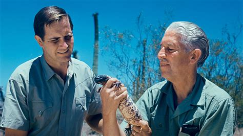 Jim Fowler, Naturalist and a Face of TV’s ‘Wild Kingdom,’ Dies at 89 ...