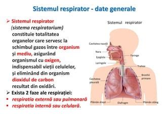 Anatomia funcțională a sistemului respirator - копия.pdf