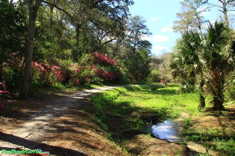 Ravine Gardens State Park • Azaleas in Palatka, FL