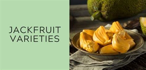 Jackfruit Varieties: 30+ Types of Jackfruit & How to Identify Them in ...