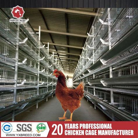 Full Automatic Animal Husbandry Equipment for Chickens - China Animal Husbandry Equipment for ...