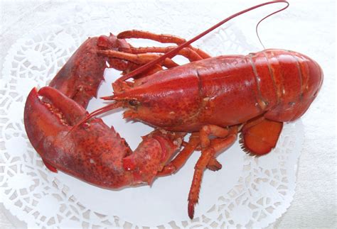 Marvelous-Canada: Lobster Season in Nova Scotia