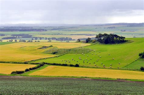 Scotland Countryside Royalty Free Stock Images - Image: 20500839