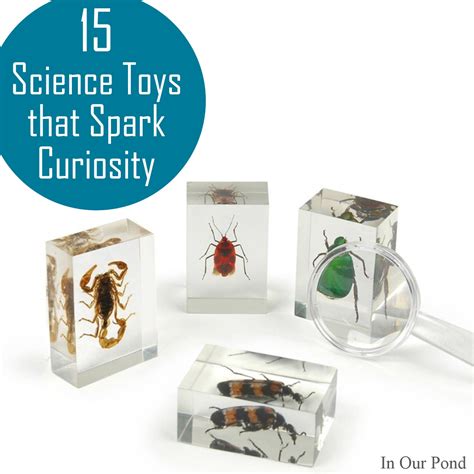 Science Toys that Spark Curiosity